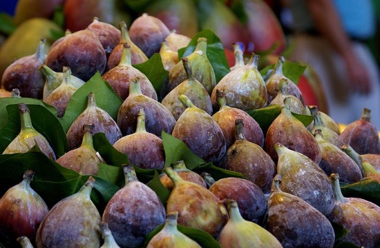Figs grow as winter heatwave holds on in Greece